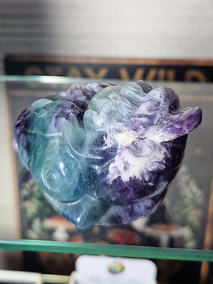 Fluorite Lucky Frog Toad