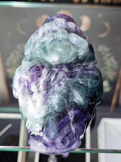 Fluorite Lucky Frog Toad