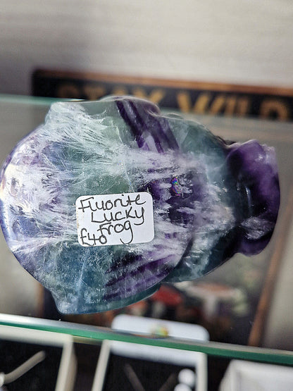 Fluorite Lucky Frog Toad