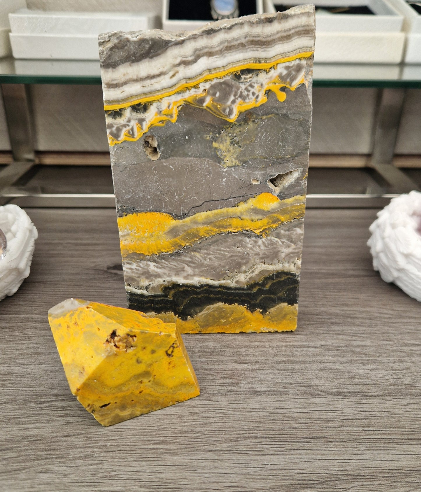 Bumblebee Jasper