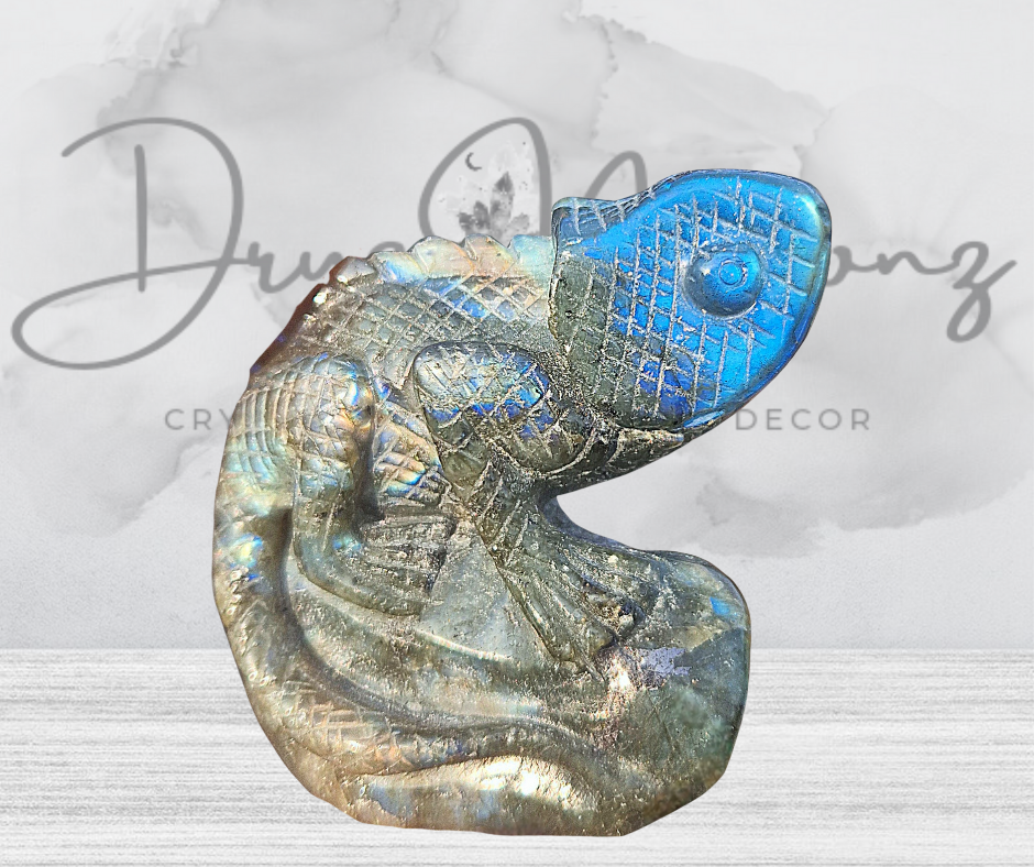 Labradorite lizard