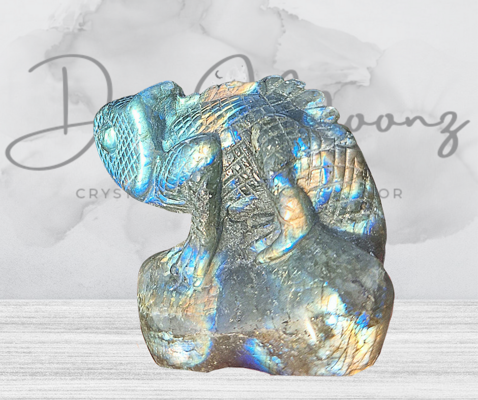 Labradorite lizard